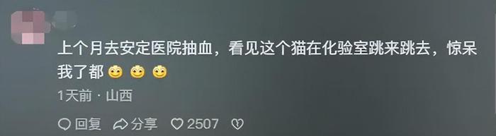 9月21日，山西省临汾市侯马市，有网友发布视频称，侯马安定医院检验科化验室一办公区的桌子上趴着一只猫，该网友怀疑猫是医护人员所饲养，并质疑化验室的卫生情况。(图2)