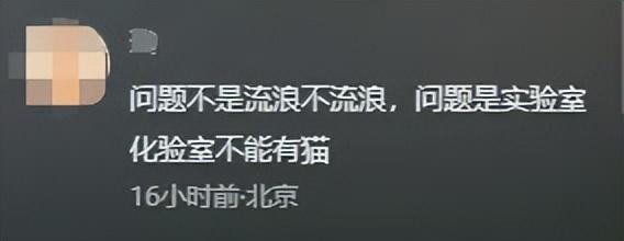 9月21日，山西省临汾市侯马市，有网友发布视频称，侯马安定医院检验科化验室一办公区的桌子上趴着一只猫，该网友怀疑猫是医护人员所饲养，并质疑化验室的卫生情况。(图3)